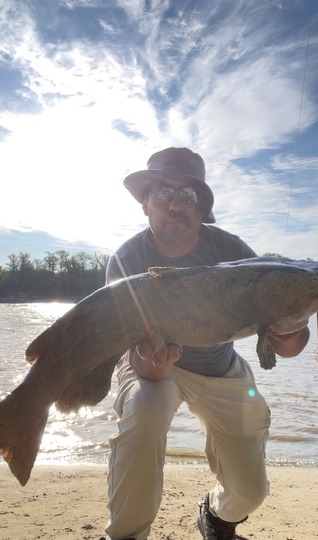 Channel Catfish