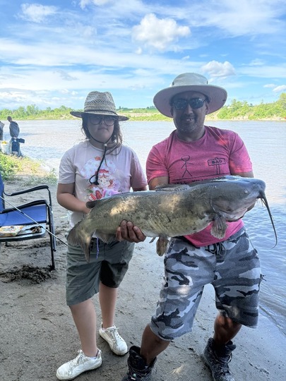 Channel Catfish