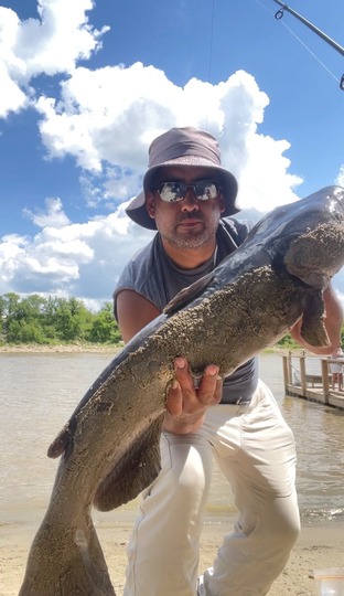Channel Catfish