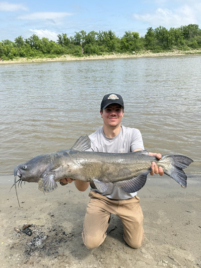 Channel Catfish
