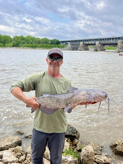 Channel Catfish