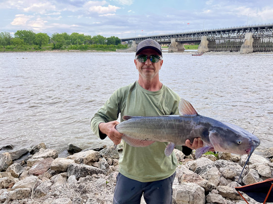 Channel Catfish