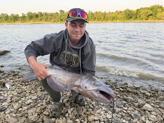Channel Catfish