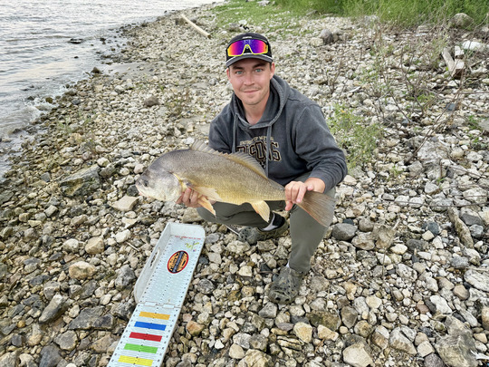 Freshwater Drum