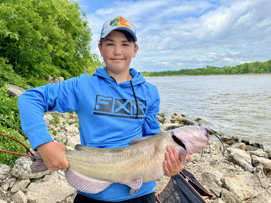 Channel Catfish