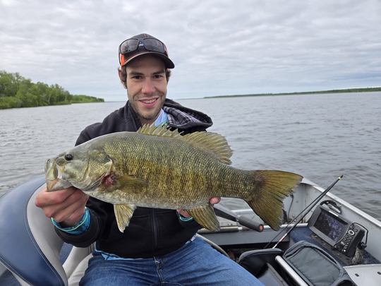 Smallmouth Bass