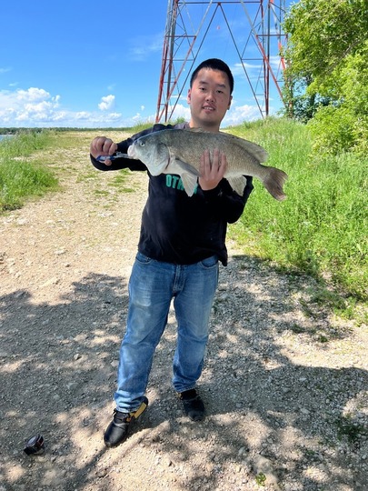 Freshwater Drum