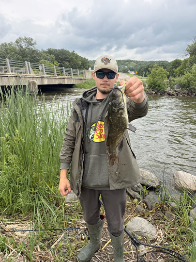 Bullhead