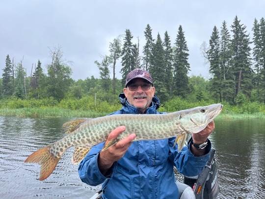 Muskellunge