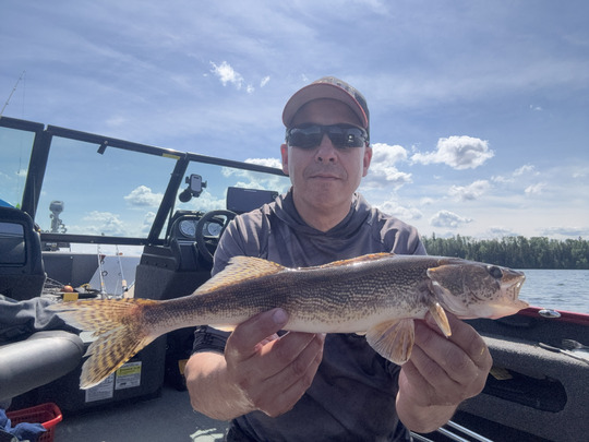 Sauger