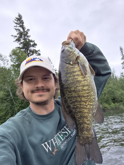 Smallmouth Bass