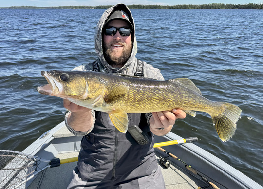 Walleye