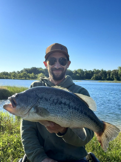 Largemouth Bass