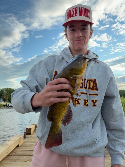 Bullhead