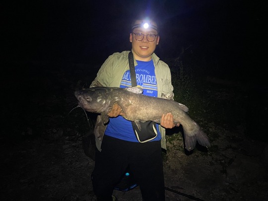 Channel Catfish