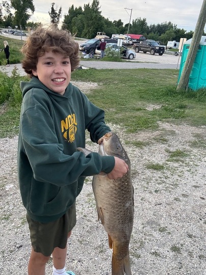 Common Carp