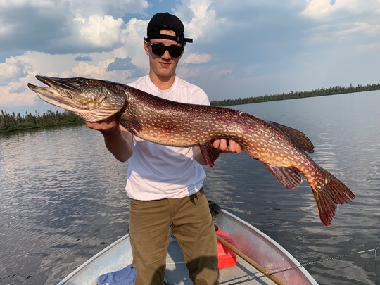 Northern Pike
