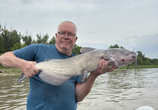 Channel Catfish