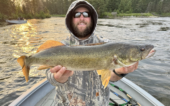 Walleye