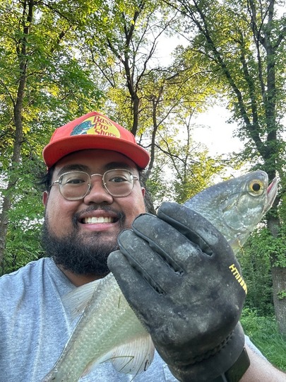Goldeye