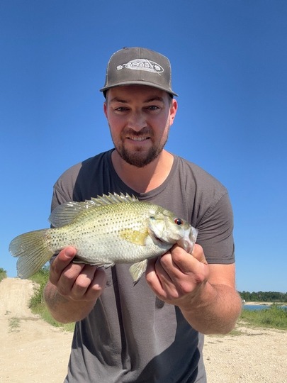 Rock Bass