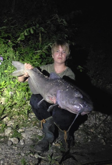 Channel Catfish