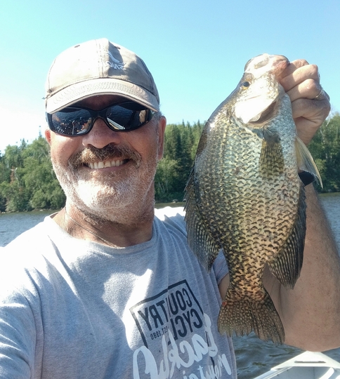 Black Crappie