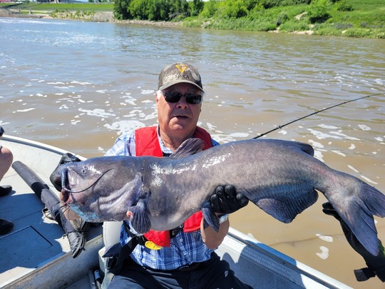 Channel Catfish