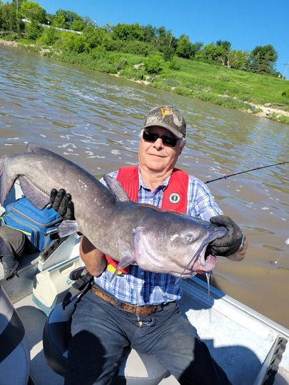 Channel Catfish