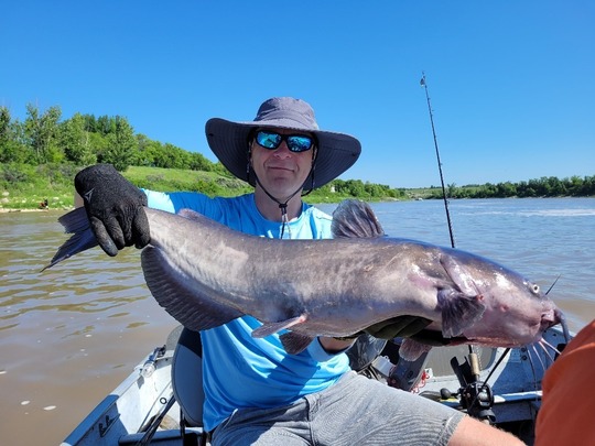 Channel Catfish