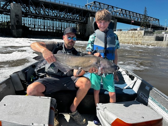 Channel Catfish