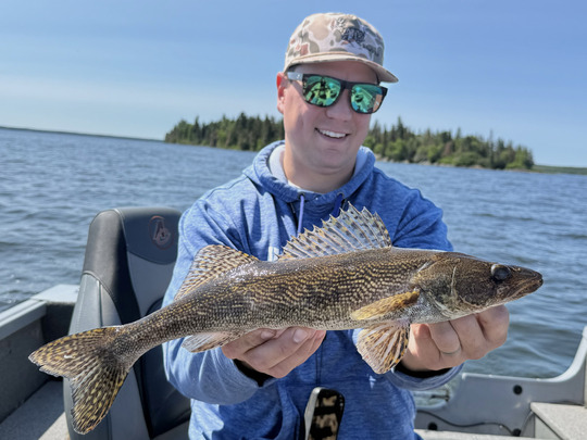 Sauger