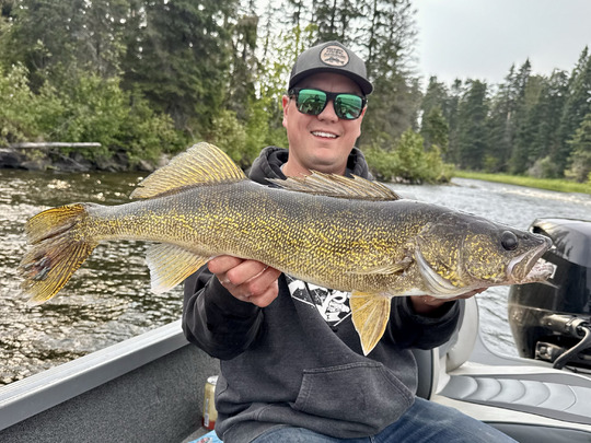 Walleye