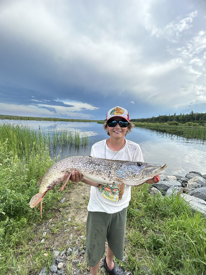 Northern Pike