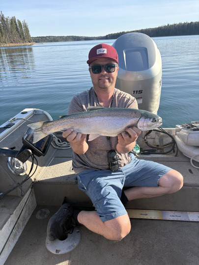 Rainbow Trout