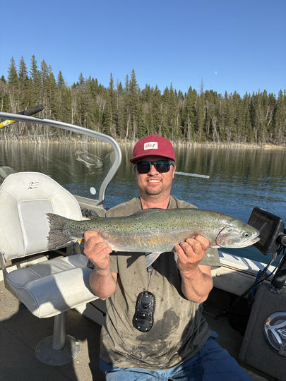Rainbow Trout