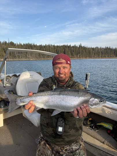 Rainbow Trout