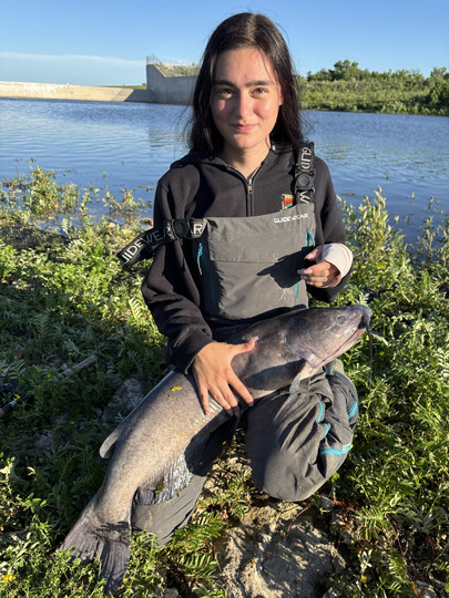 Channel Catfish