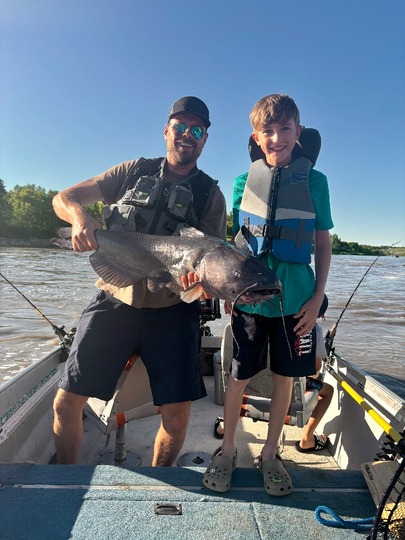 Channel Catfish