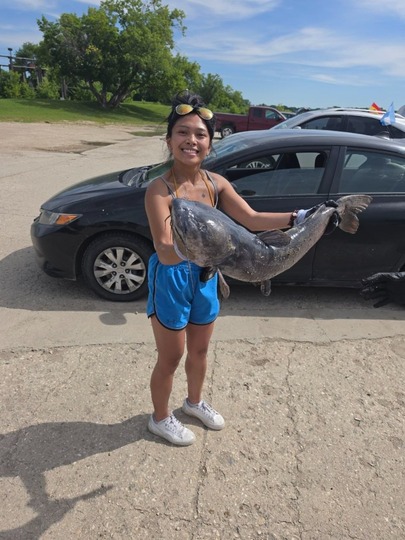Channel Catfish