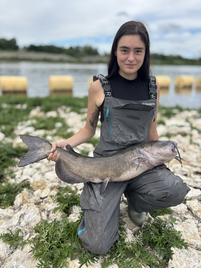 Channel Catfish