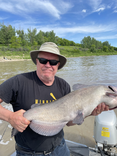 Channel Catfish