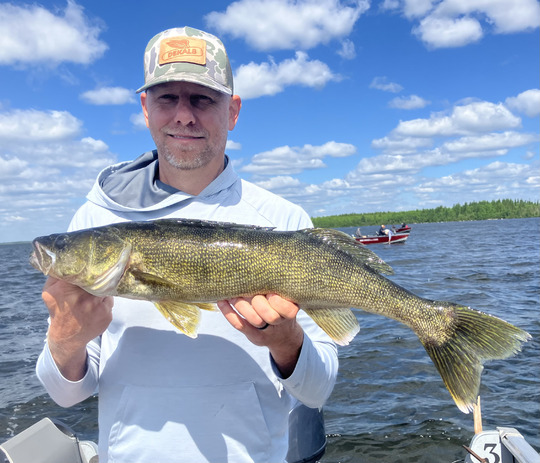 Walleye