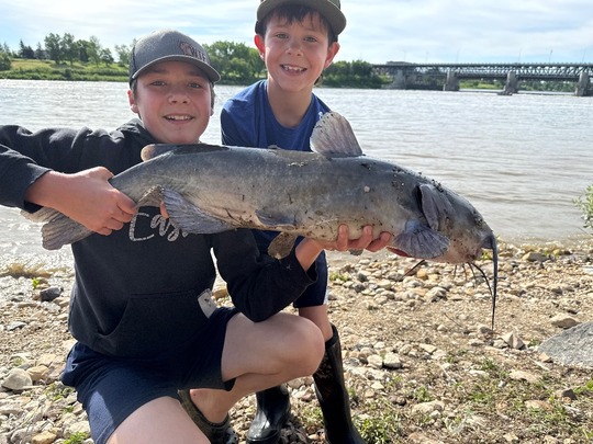 Channel Catfish
