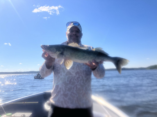 Walleye
