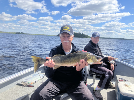 Walleye