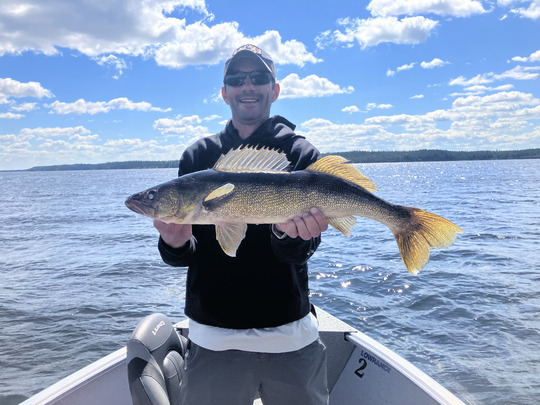 Walleye