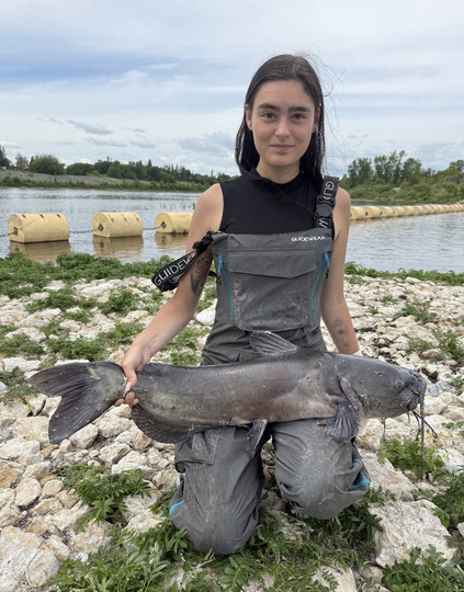 Channel Catfish