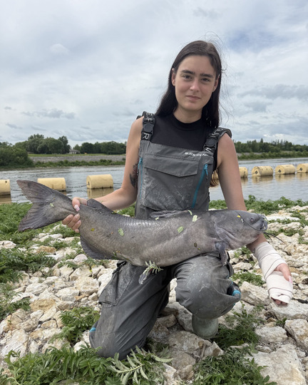 Channel Catfish