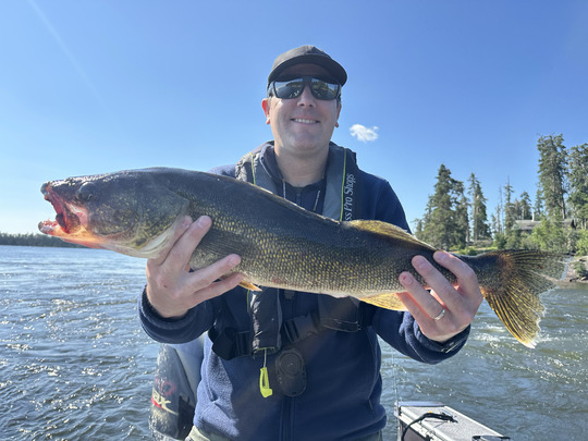 Walleye